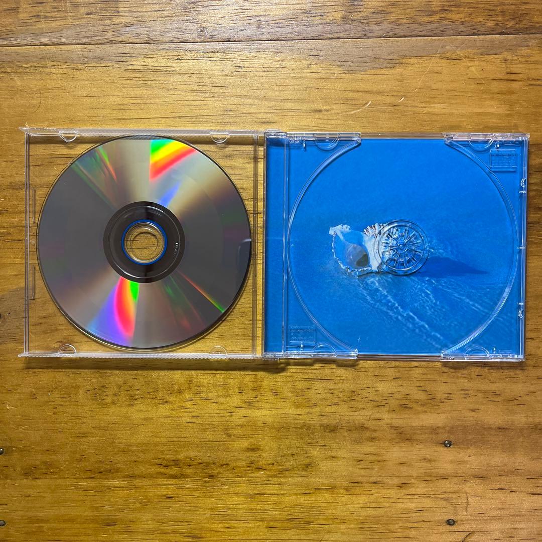 ベル・アンド・アコーディオンズ/潮騒のうた