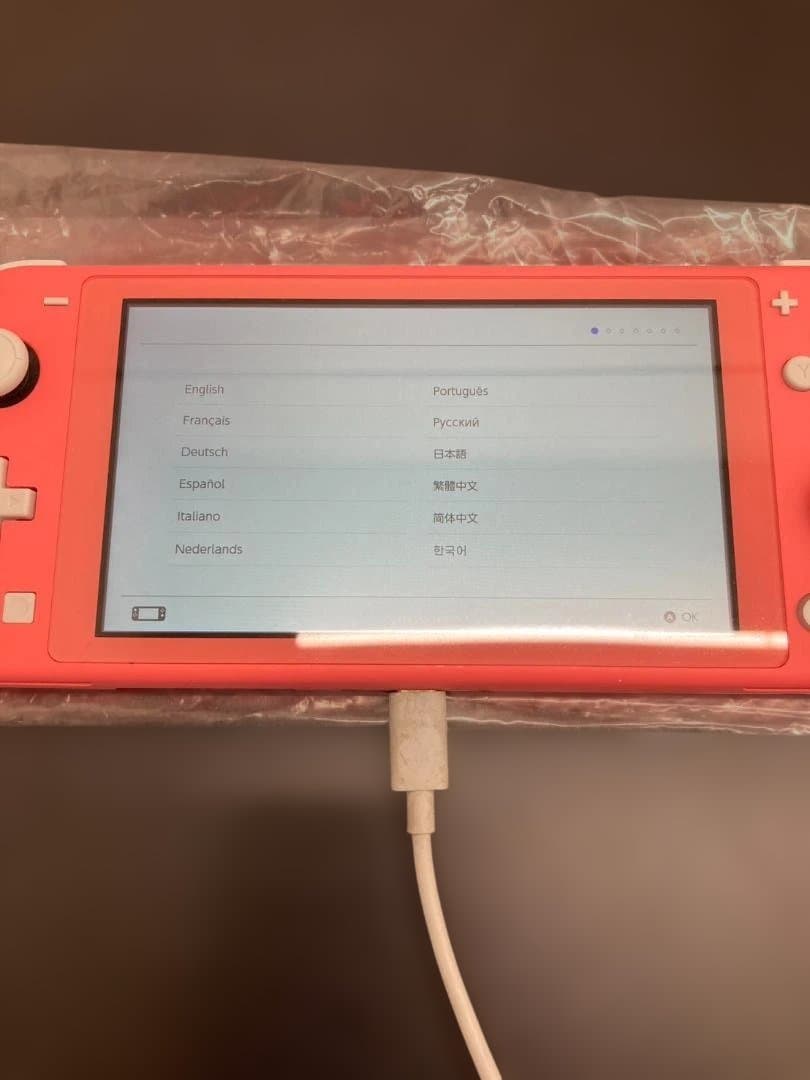 Nintendo Switch Lite ピンク 本体/箱付き