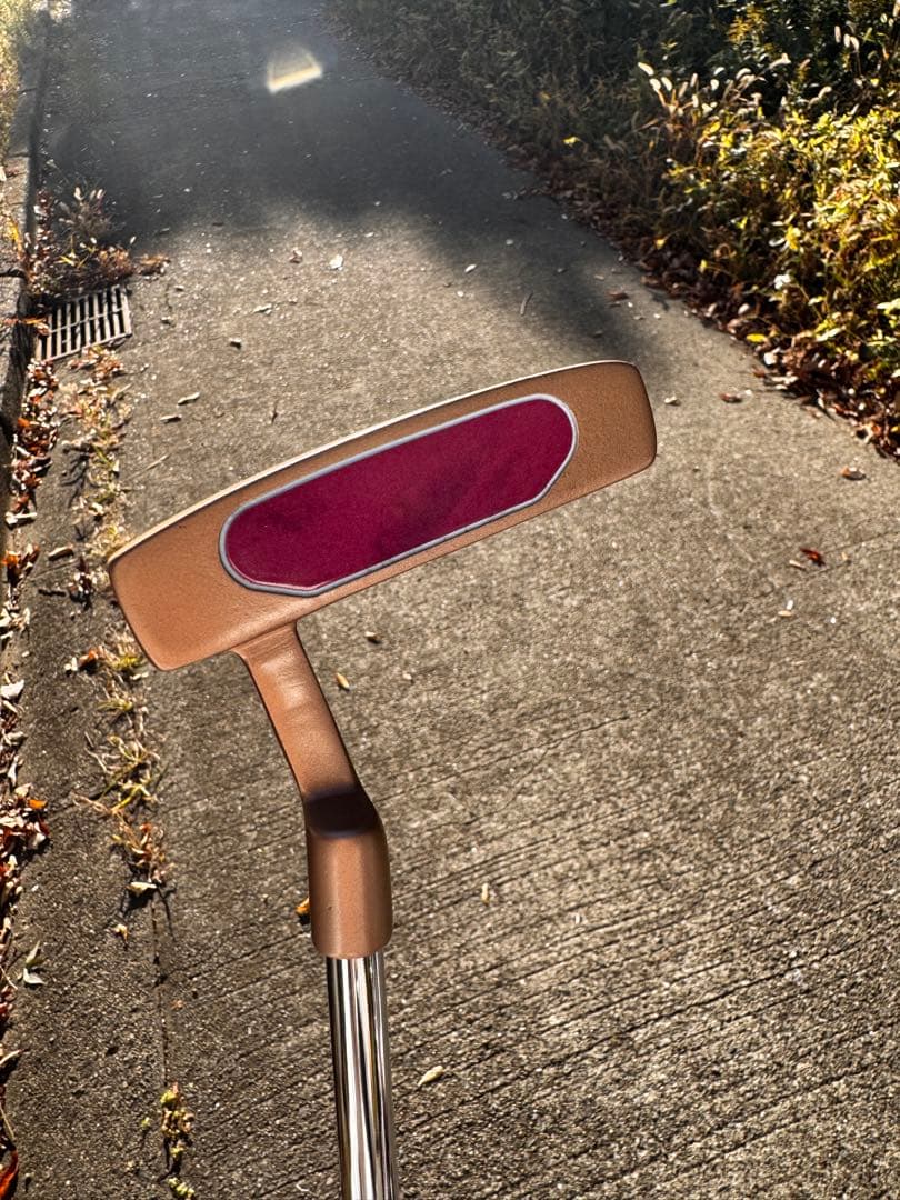 セントアンドリュース　レディース　ゴルフセット