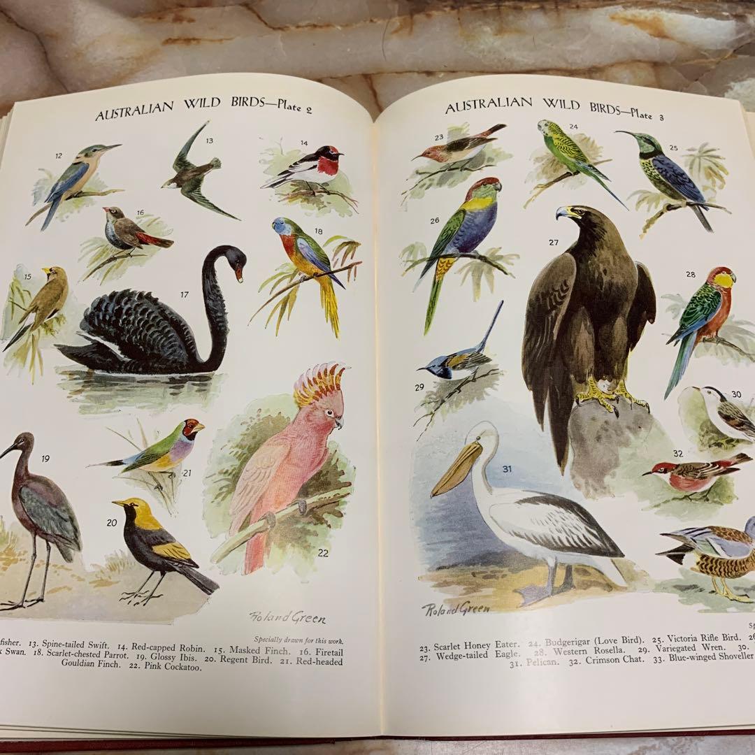 「Pictorial Knowledge」図鑑　洋書 1 〜10巻セット