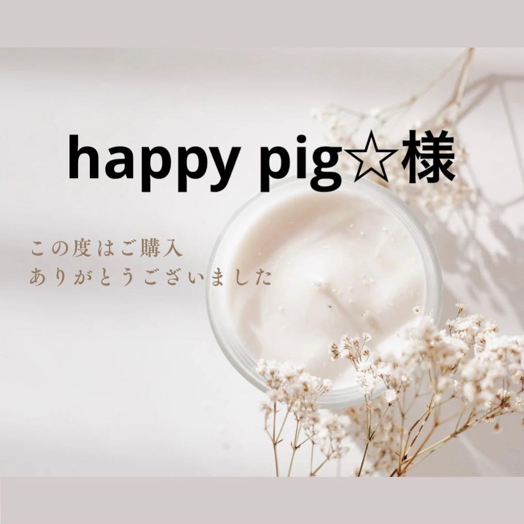 happy pig☆様