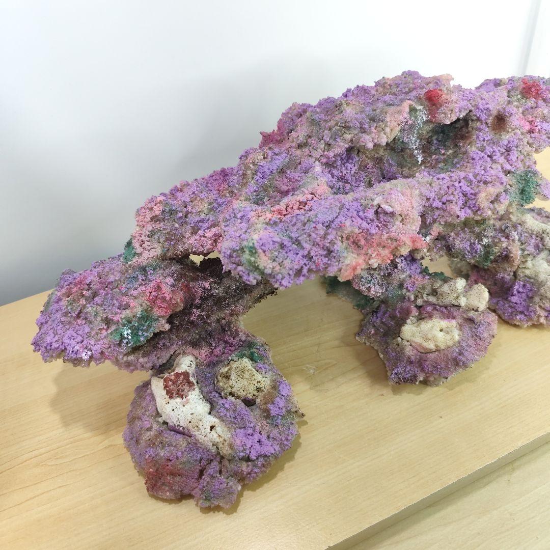 ❖新品アク抜き不要 人工ライブロック 60cm海水水槽用 レプリカ 多孔質安い7