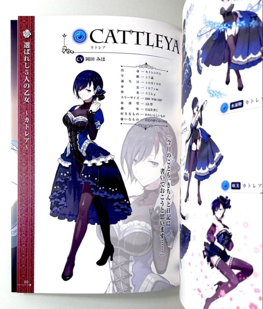 ゴシックは魔法乙女 さっさと契約しなさい! Art Works 2冊セット