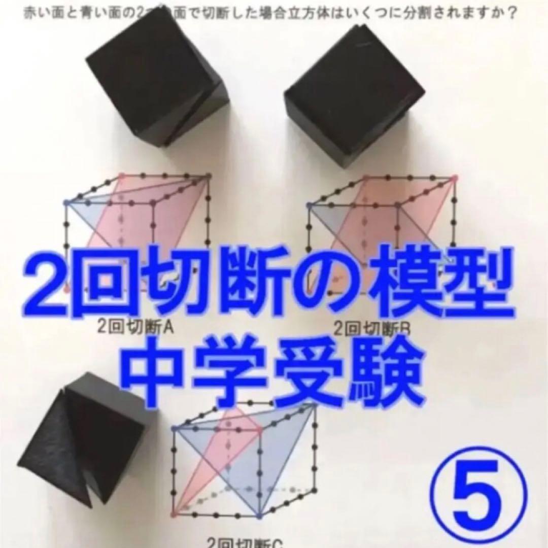 しじみ　立体の切断模型 ①②③④⑤⑥⑦⑧⑨⑩セット