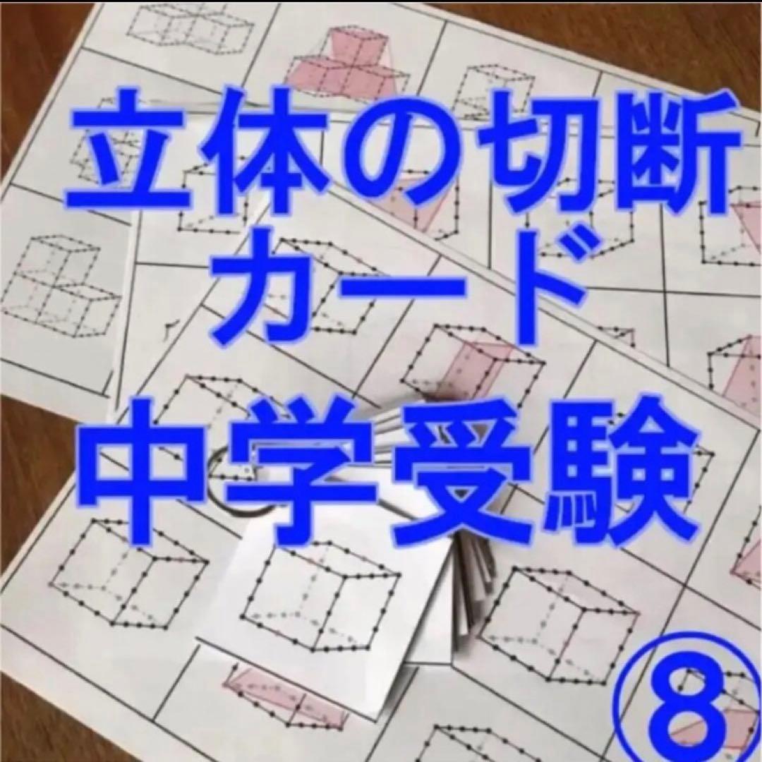 しじみ　立体の切断模型 ①②③④⑤⑥⑦⑧⑨⑩セット