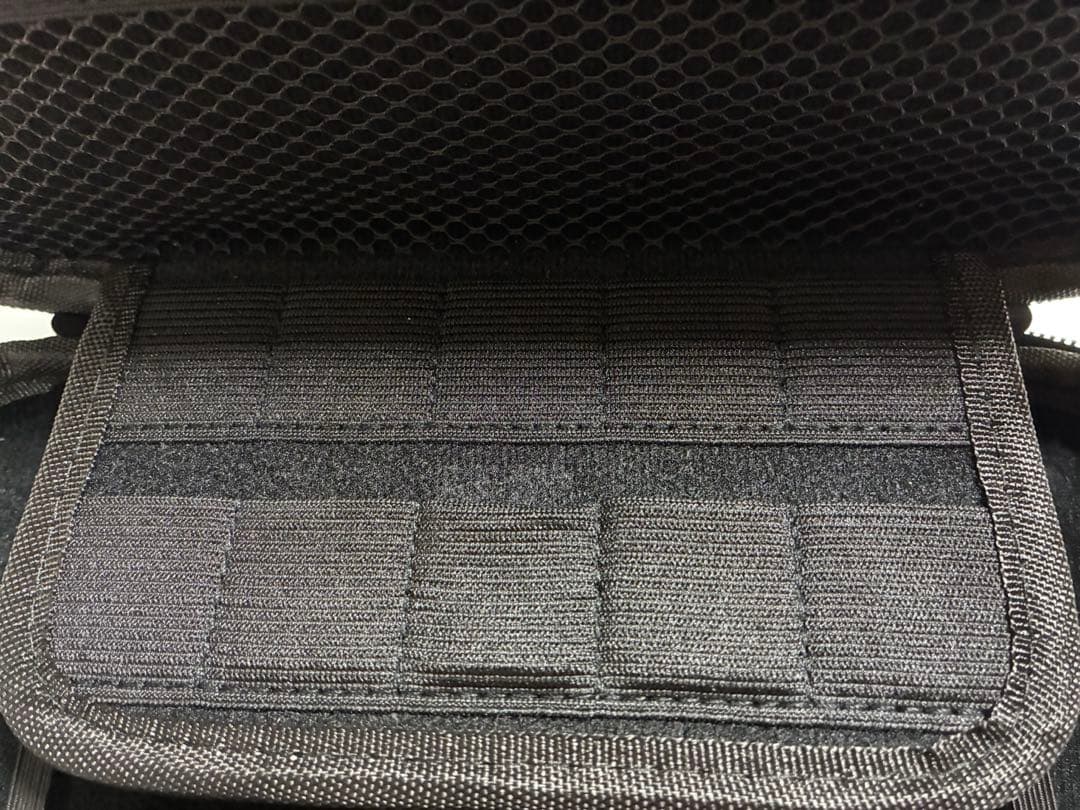 Nintendo Switch Lite ピンク ケース付き