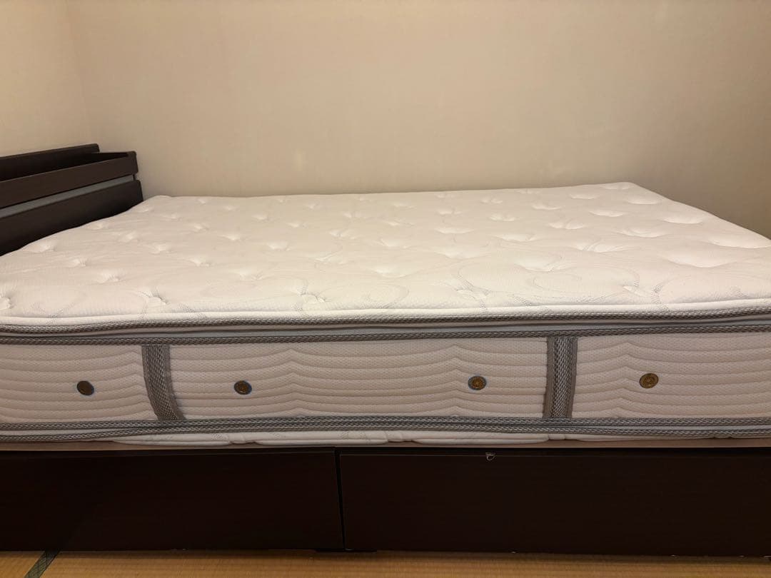 【Falafel様】ビューティレストプレミアムニューフィット ピロートップ D