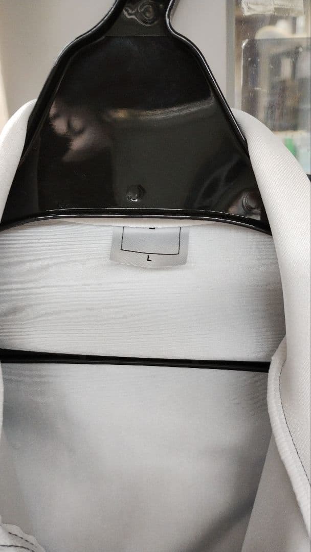 Mizuno ワンピース　サイズL　 FISマーク付