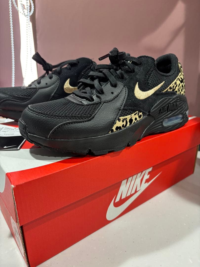 NIKE ウィメンズ エア マックス エクシー GPX