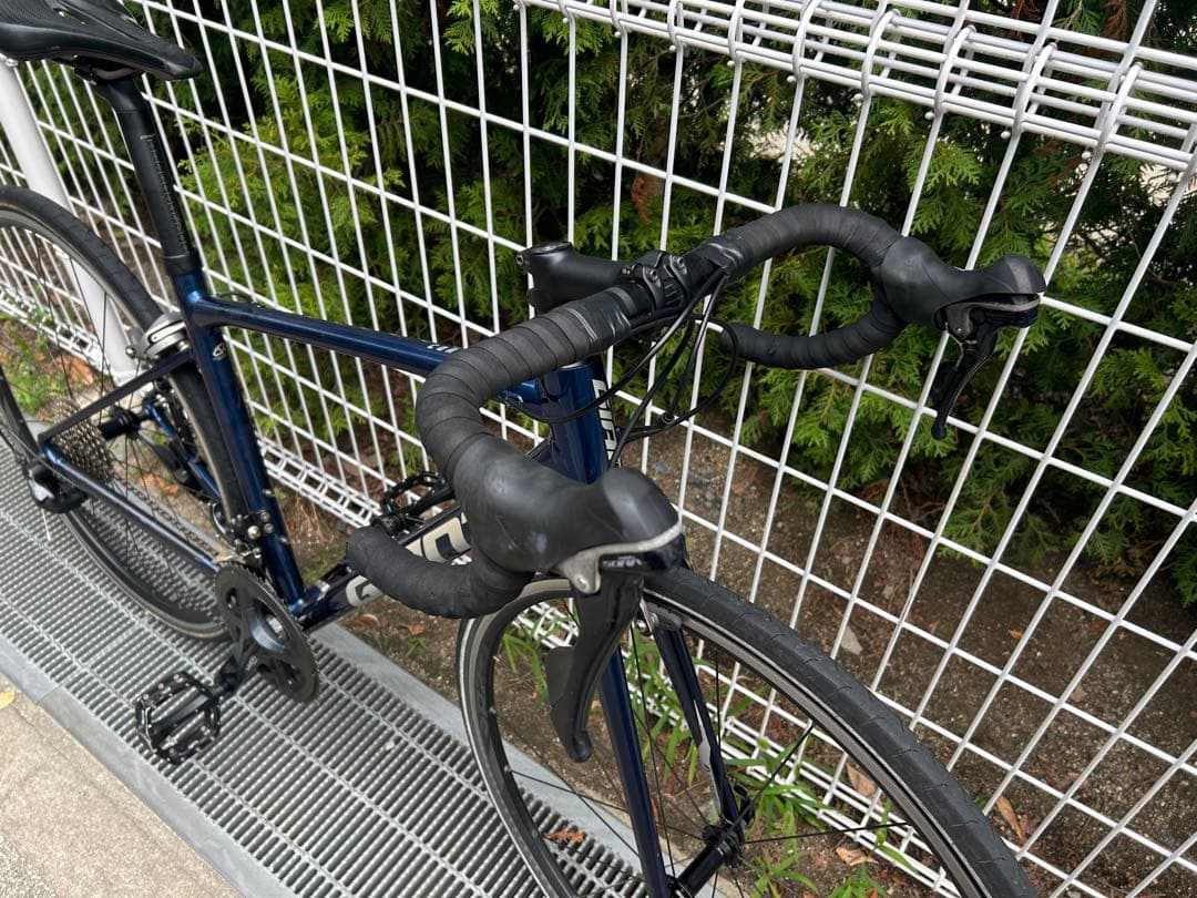 giant contend 1 ネイビー