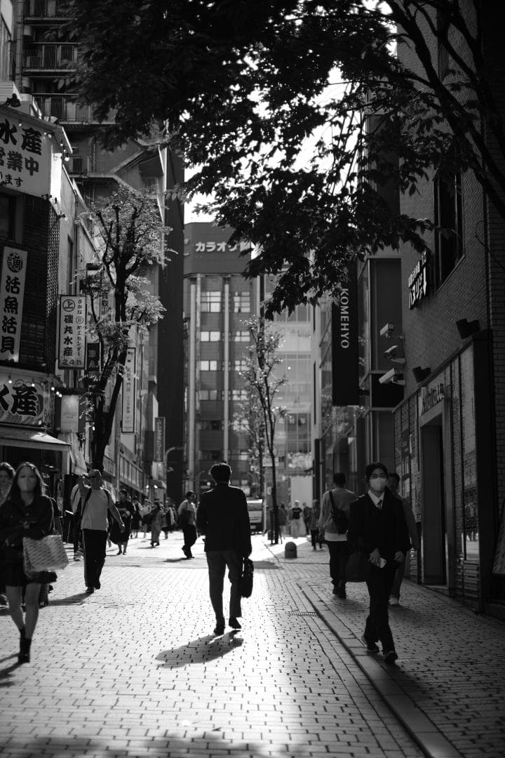 Summicron-M 50mm f2 3rd 銘玉ズミクロン第三世代