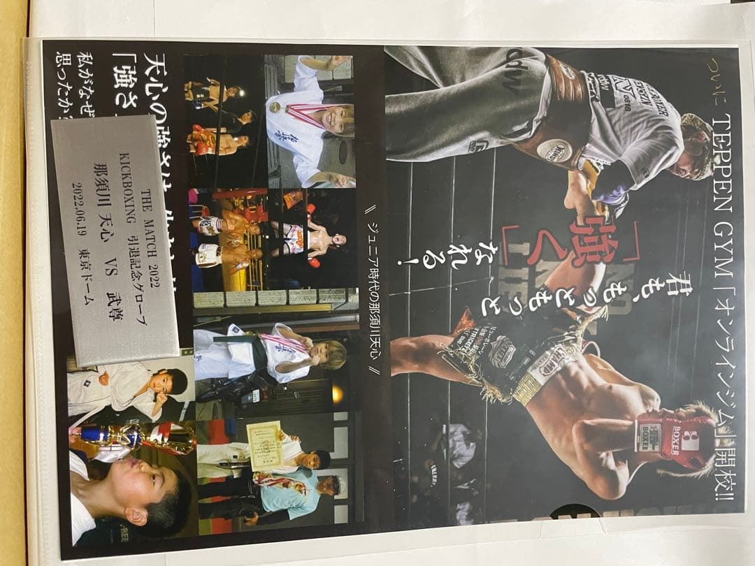 那須川 天心 キックボクシング引退記念グローブ 直筆サイン