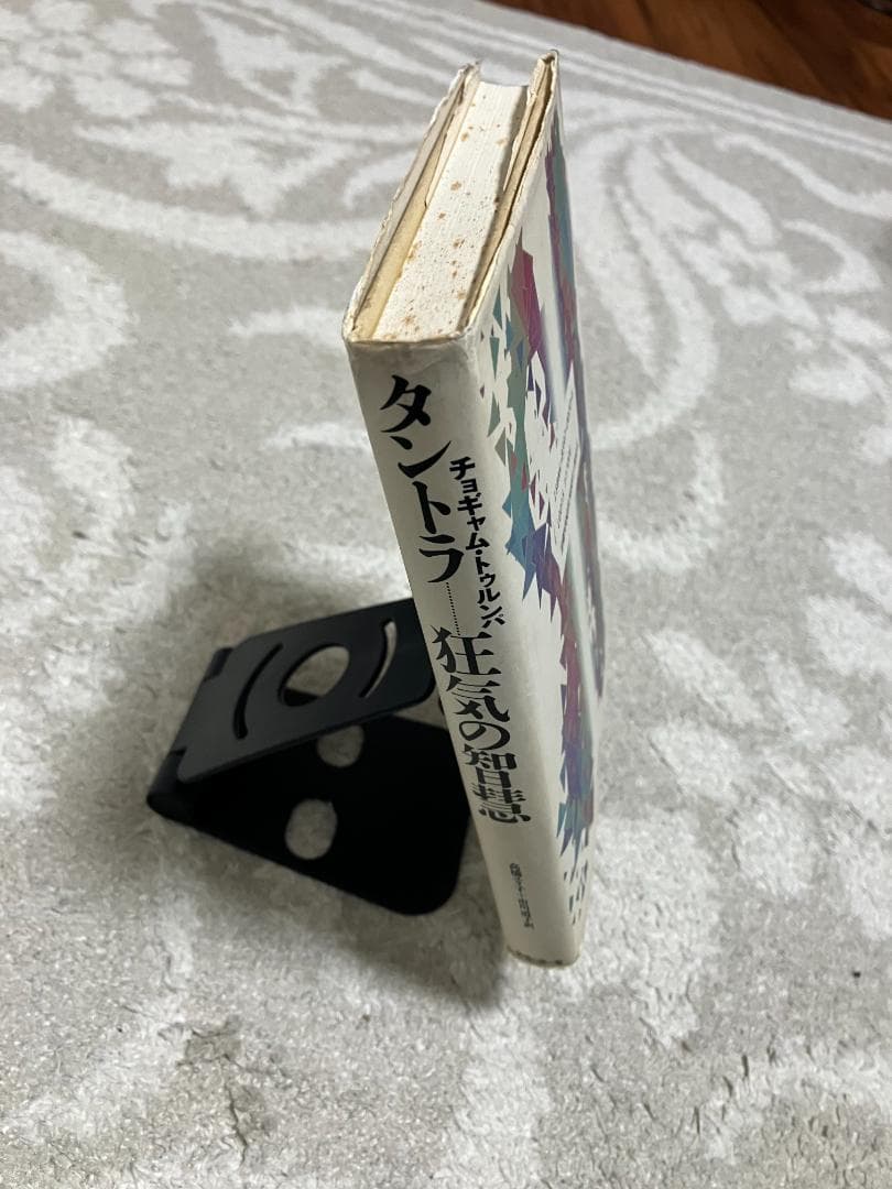 タントラ 狂気の智慧