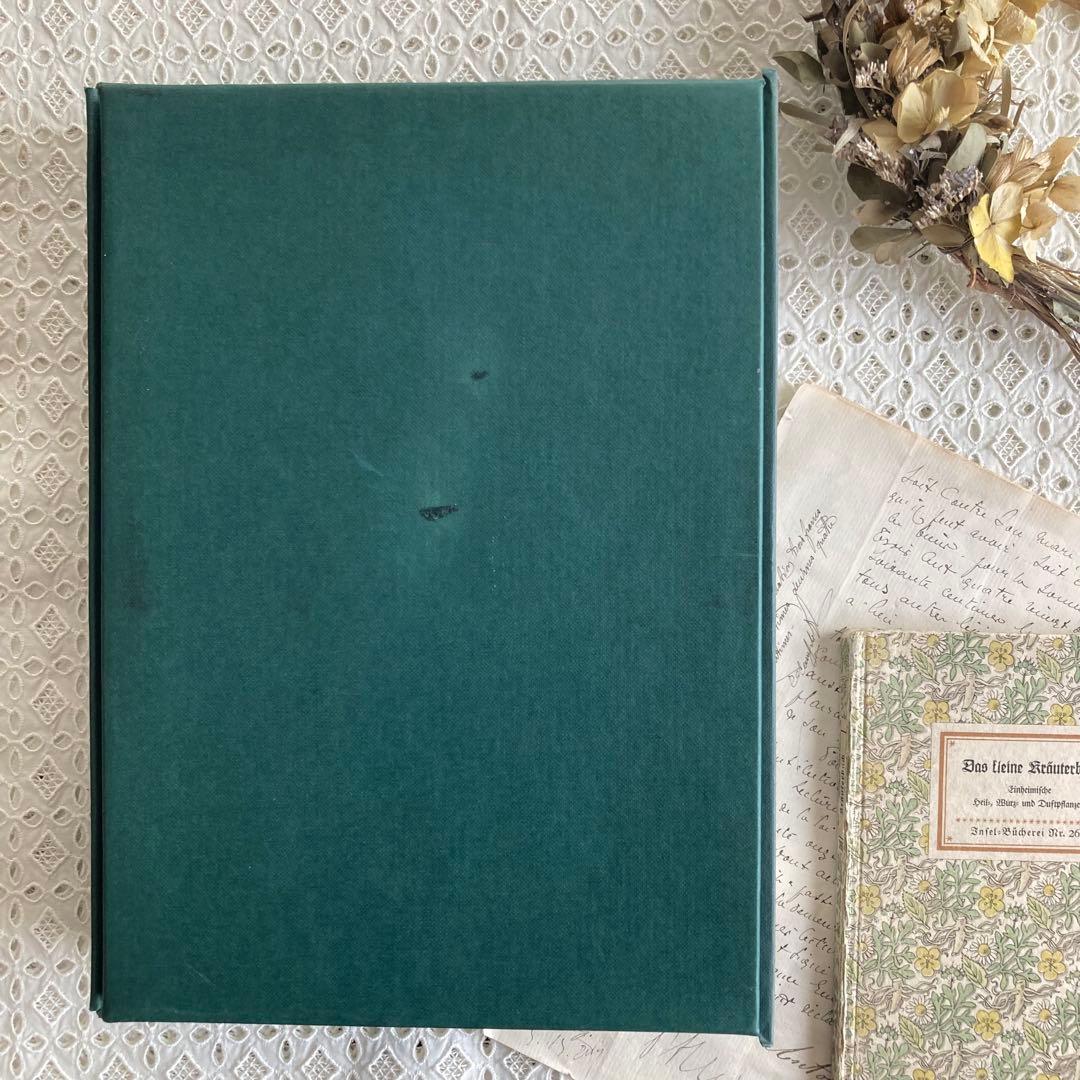 L938洋書古書1957年ドイツ発行美しい植物画プレートが168枚入った植物図鑑