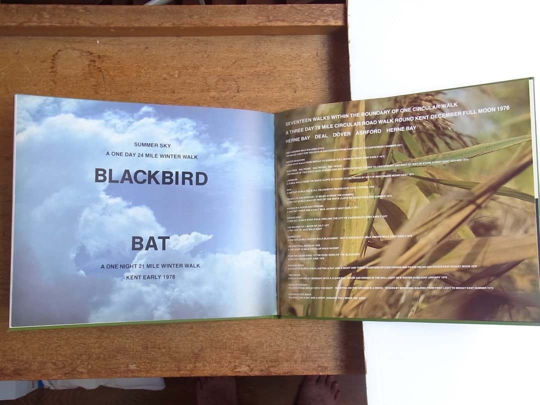 BIRD SONG /HAMISH FULTON ハミッシュフルトン（サイン本）