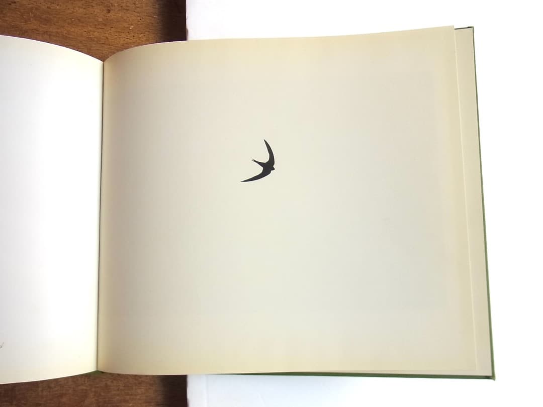 BIRD SONG /HAMISH FULTON ハミッシュフルトン（サイン本）