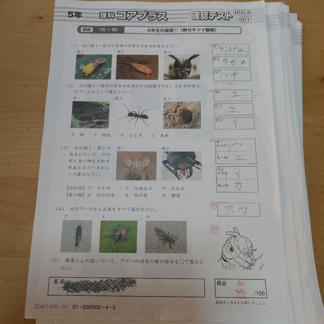 2024年度サピックス5年理科一式　欠番なし