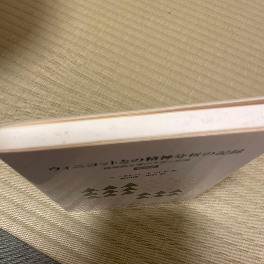 ウィニコットとの精神分析の記録 精神病水準の不安と庇護