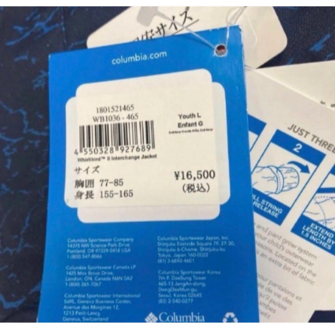 送料無料 新品 Columbia ウィリーバードIIインターチェンジJK155