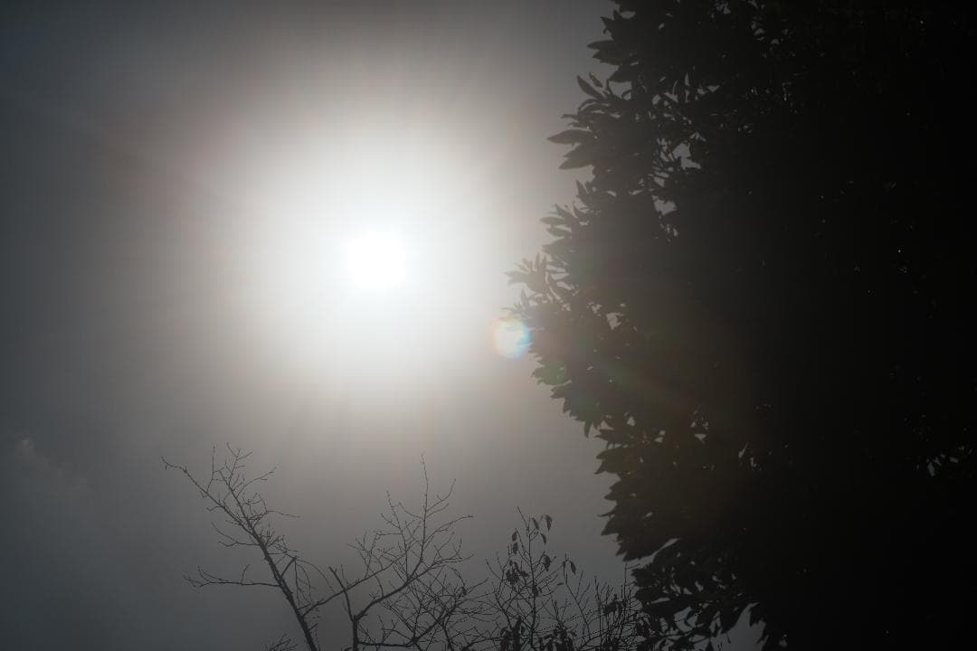 【訳あり】Minolta MC ROKKOR-PG 58mm F1.2 837