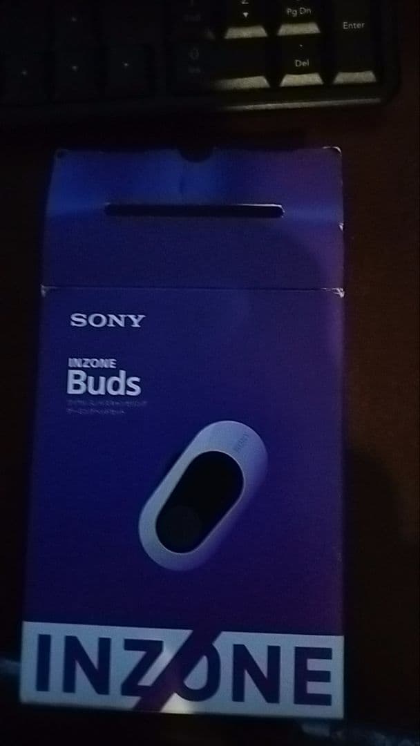 SONY INZONE Buds ホワイト