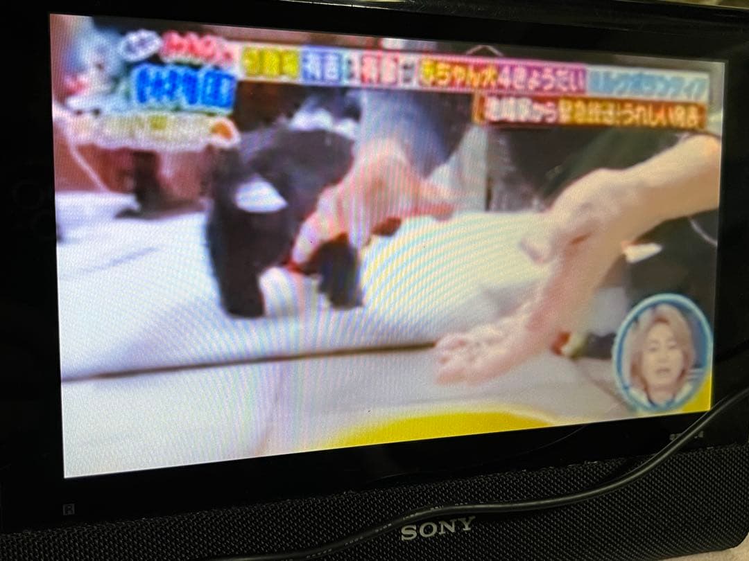 【動作確認済】SONY BDP-Z1 ポータブルブルーレイ DVDプレーヤー