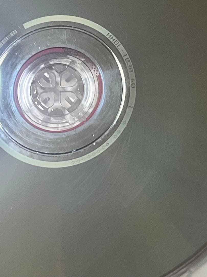 白井貴子 WE MUST CHANGE CRAZY BOYS LIVE DVD