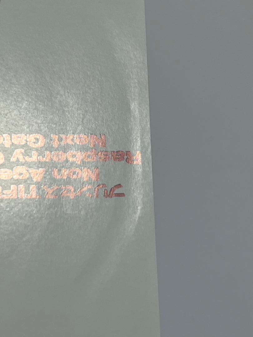 白井貴子 WE MUST CHANGE CRAZY BOYS LIVE DVD