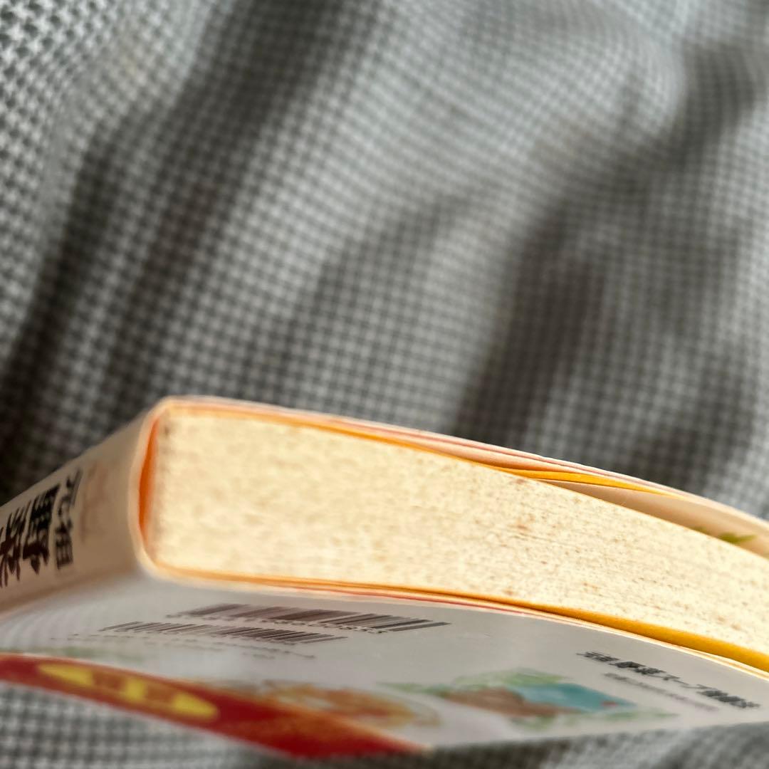 評*。様 元祖 野菜スープ強健法 立石和著