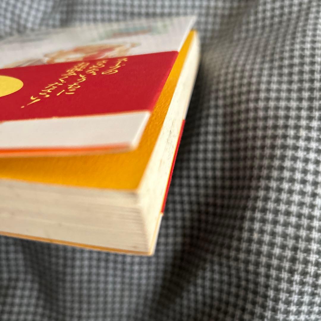 評*。様 元祖 野菜スープ強健法 立石和著