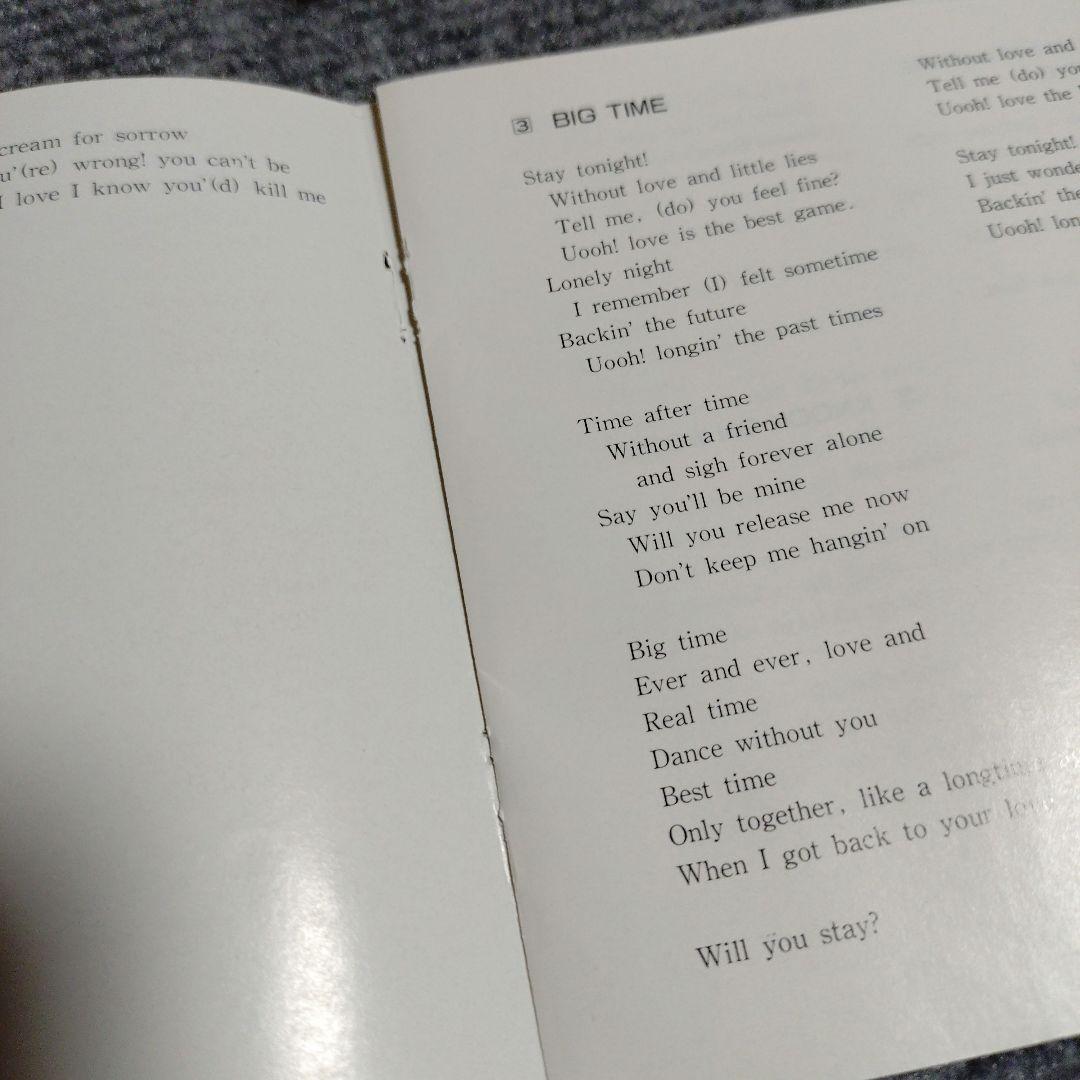 ザ・ビッグブラザー　ディスコ ユーロビート