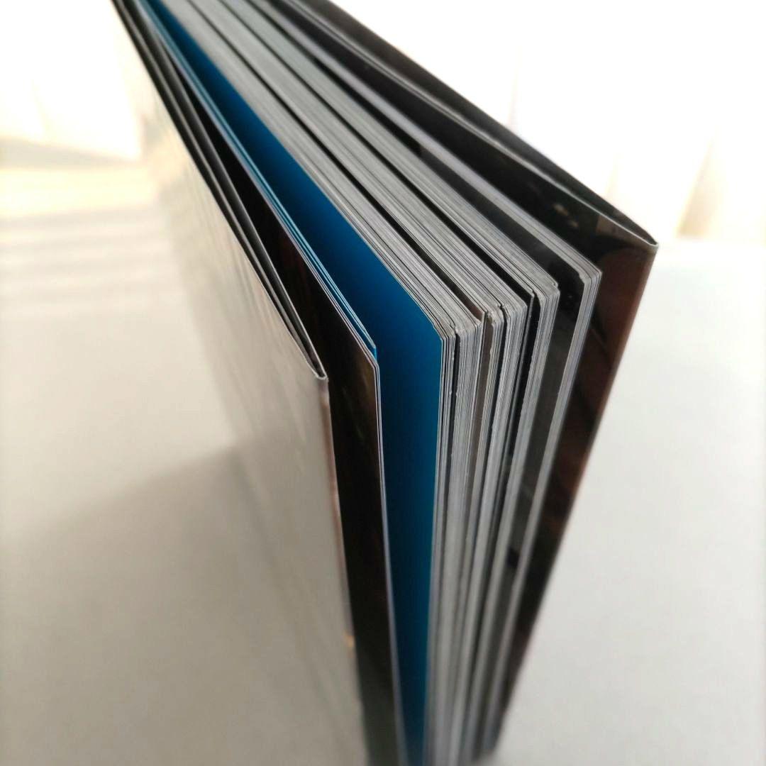 Mario Testino:Any Objections?/写真 作品集 洋書