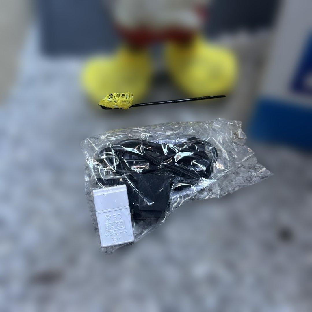 ミッキーマウス イルミネーション タカショー クリスマス