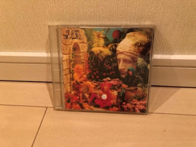 帯付 AURA/BIG WILL