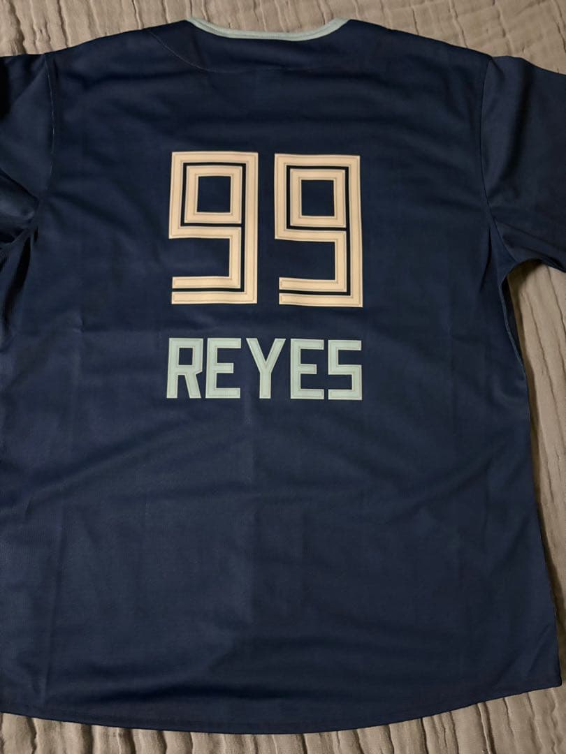 レイエス　応援グッズ　WE LOVE HOKKAIDO ユニ　ファイターズ