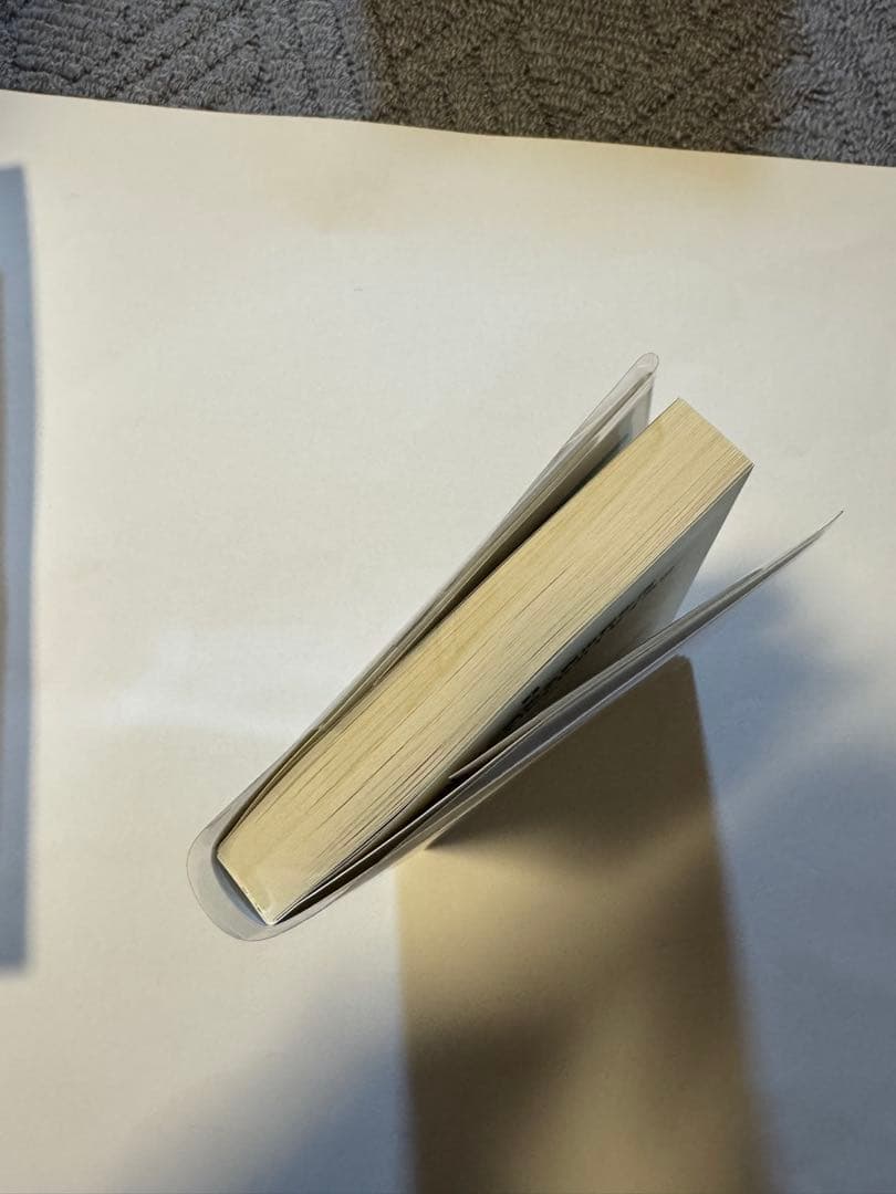 Re:IFから始める異世界生活　ゼロカラカサネルイセカイセイカツ