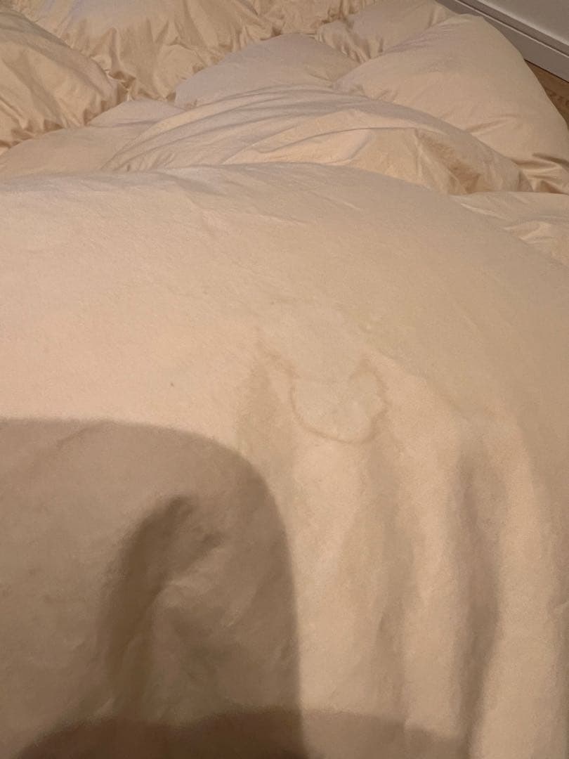 ハンガリーグースダウン95% ハンドピックドイツ製 シングル 1.1k シングル