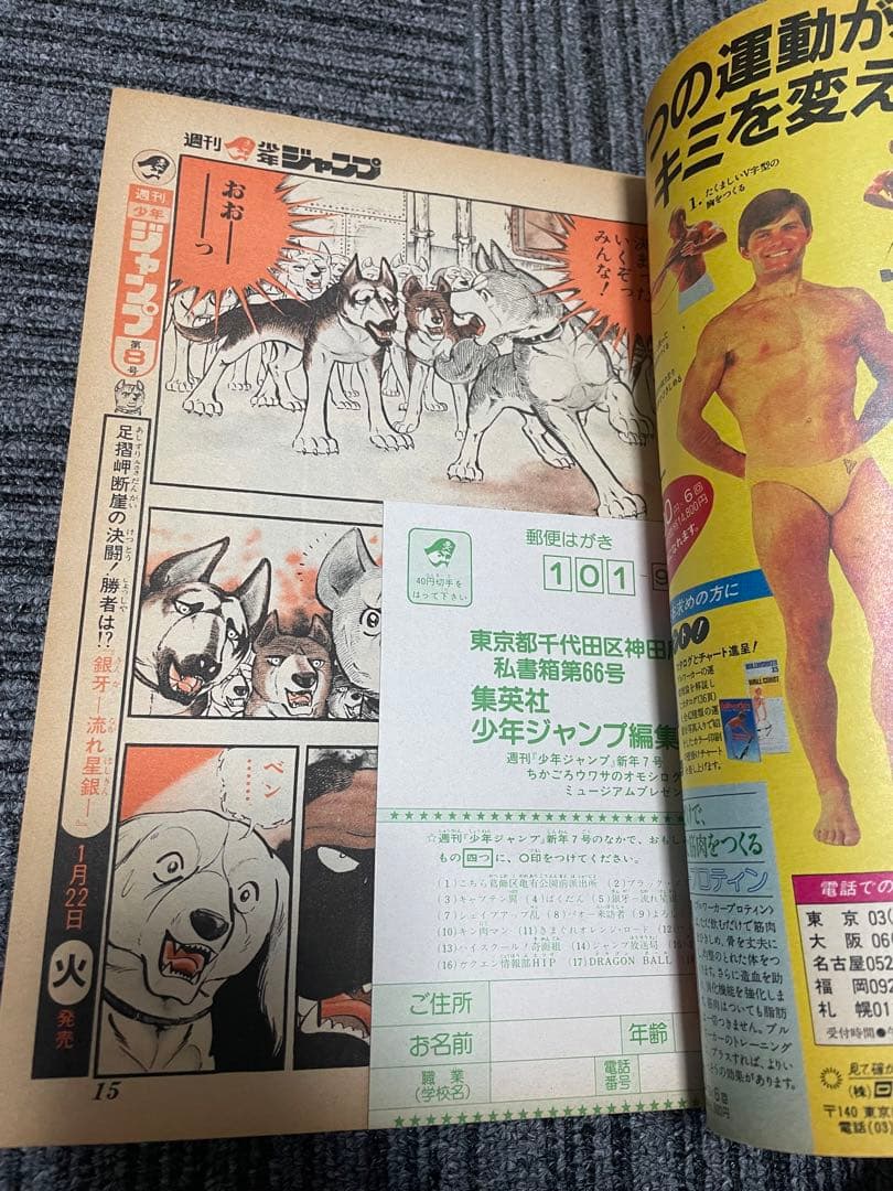 貴重　週刊少年ジャンプ 7号 ドラゴンボール　鳥山明　表紙2回目