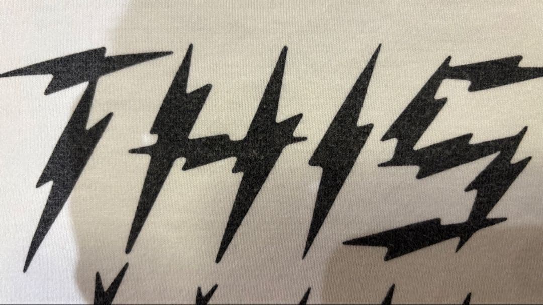 向井秀徳 「THIS IS MUKAI SHUTOKU」 Tシャツ