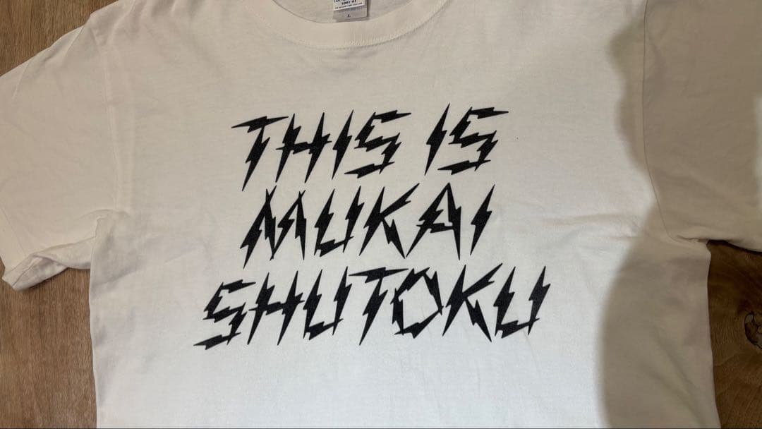向井秀徳 「THIS IS MUKAI SHUTOKU」 Tシャツ