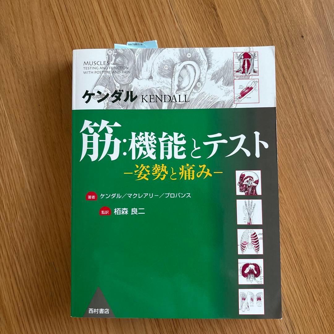 筋・機能とテスト -姿勢と痛み-