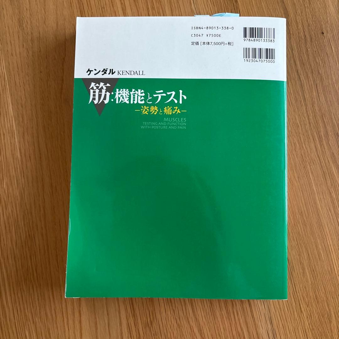 筋・機能とテスト -姿勢と痛み-