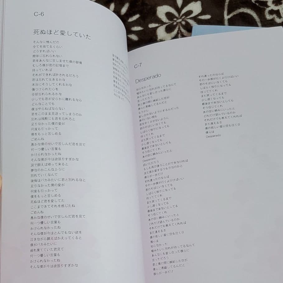 DVD 追憶 もういちど逢いたい…大きな外ケース