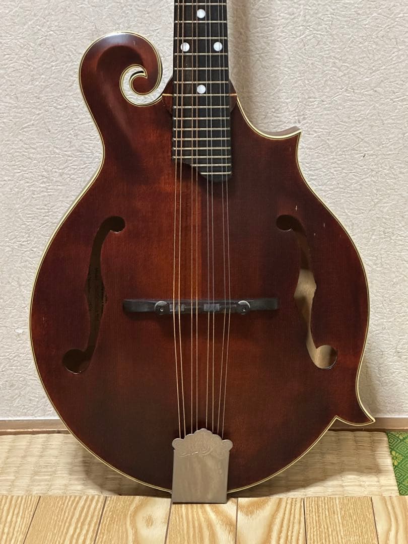 弦楽器 Eastman MD315/Antique Red