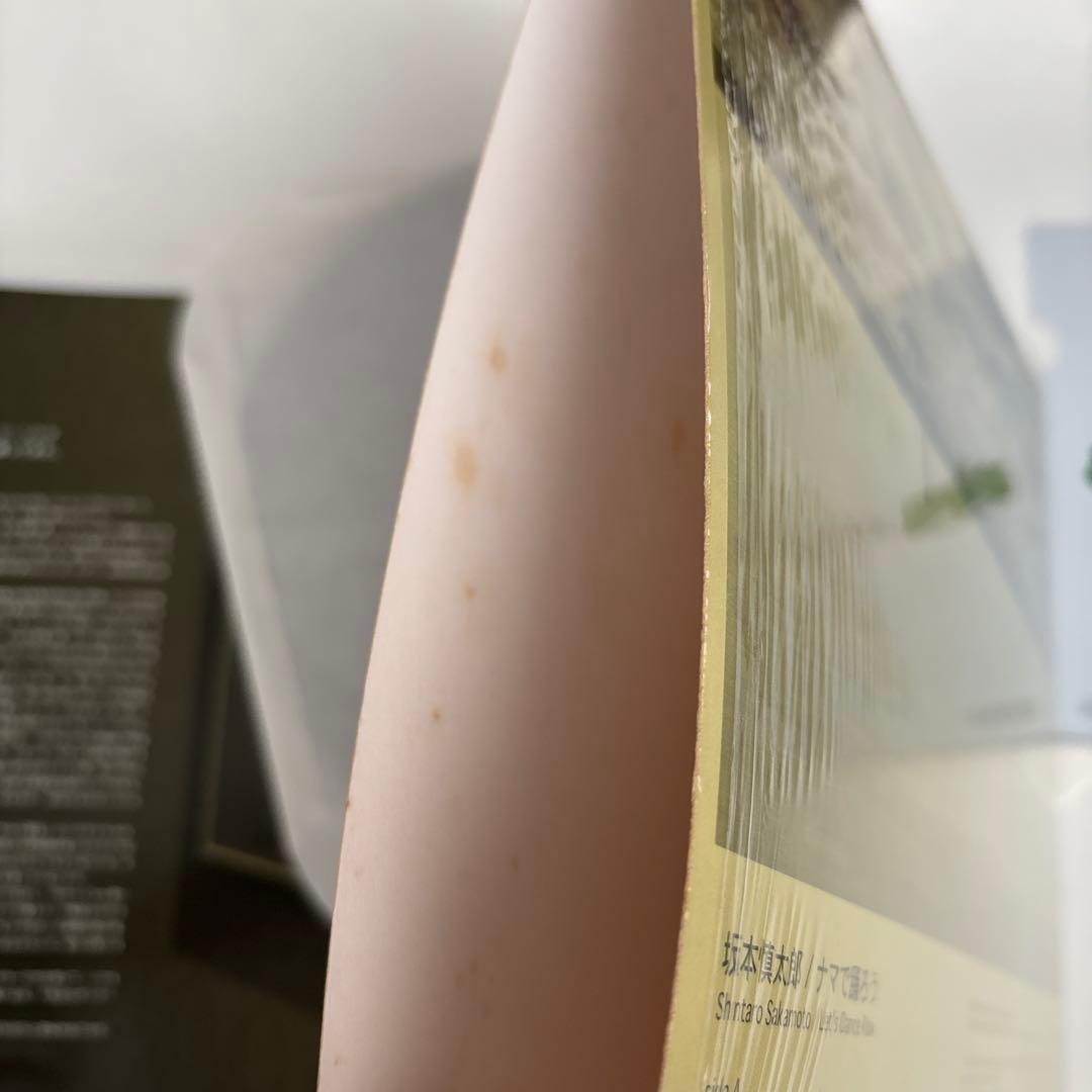 ●レコード 坂本慎太郎 ナマで踊ろう 国内盤 ゆらゆら帝国