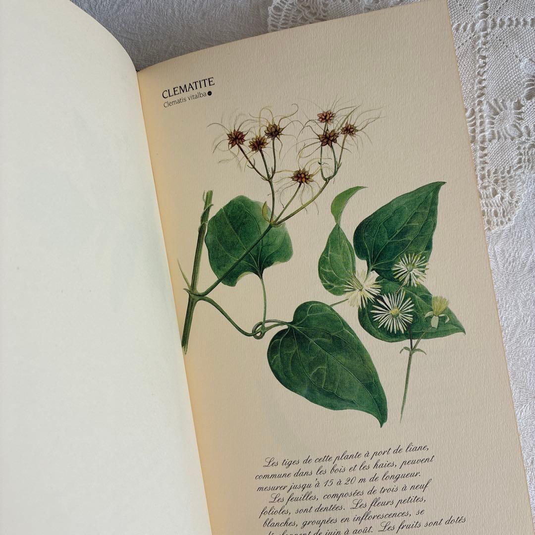 【希少・美品】1990年 美しいフランス植物図鑑　ナタン社　NATHAN
