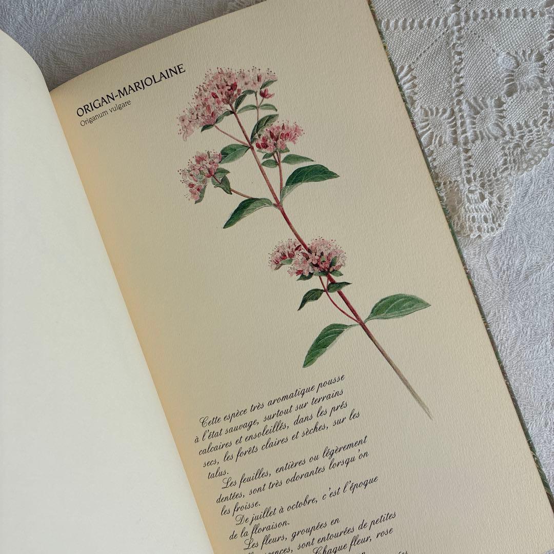 【希少・美品】1990年 美しいフランス植物図鑑　ナタン社　NATHAN
