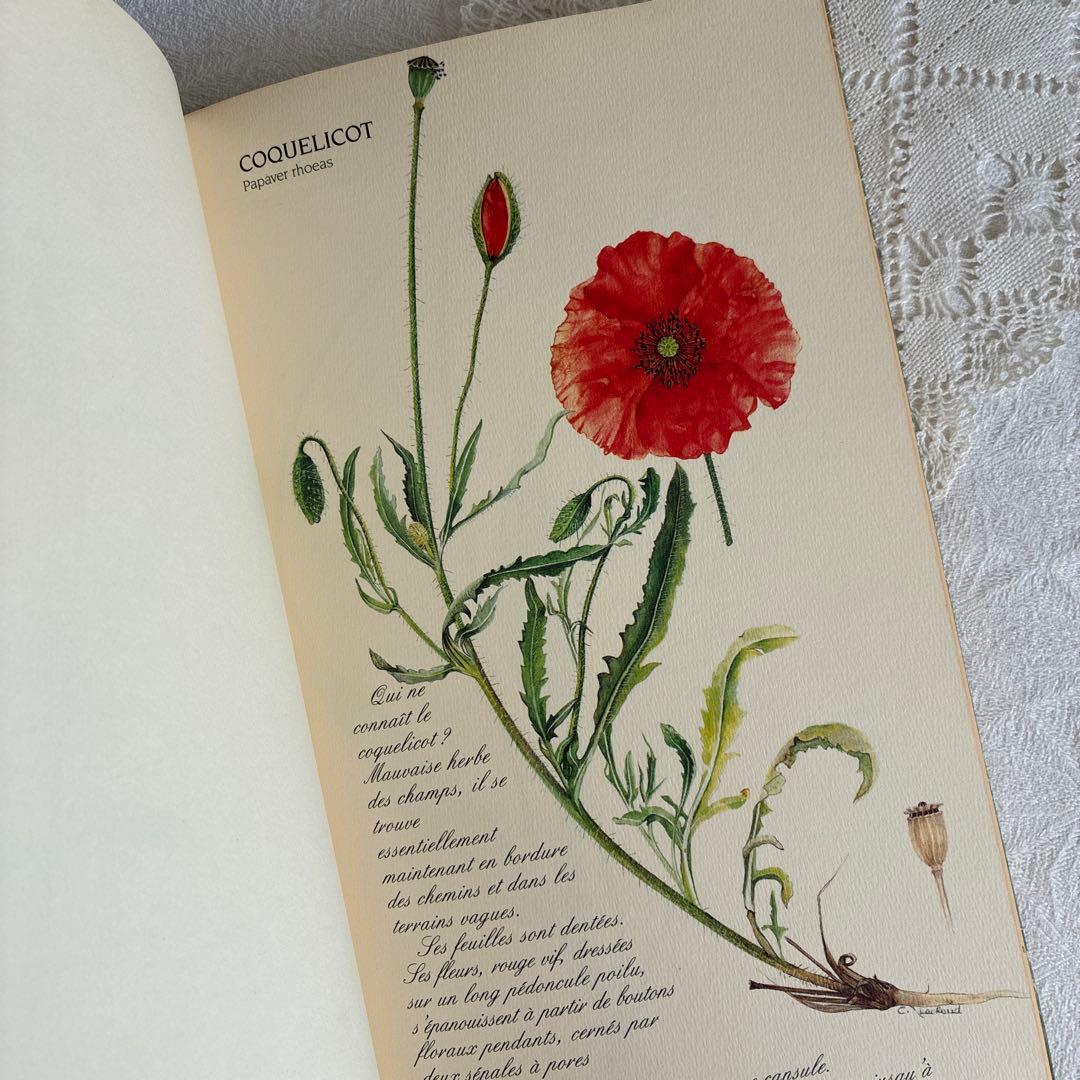 【希少・美品】1990年 美しいフランス植物図鑑　ナタン社　NATHAN