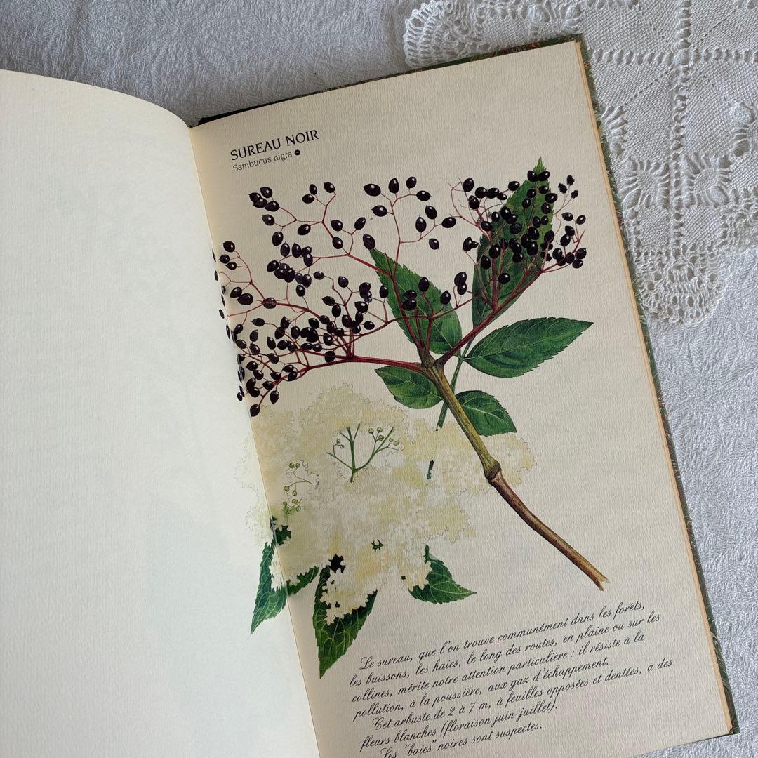 【希少・美品】1990年 美しいフランス植物図鑑　ナタン社　NATHAN