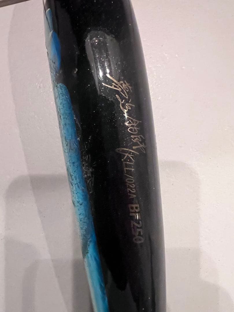 カーペンター　BF250 シイラカラー